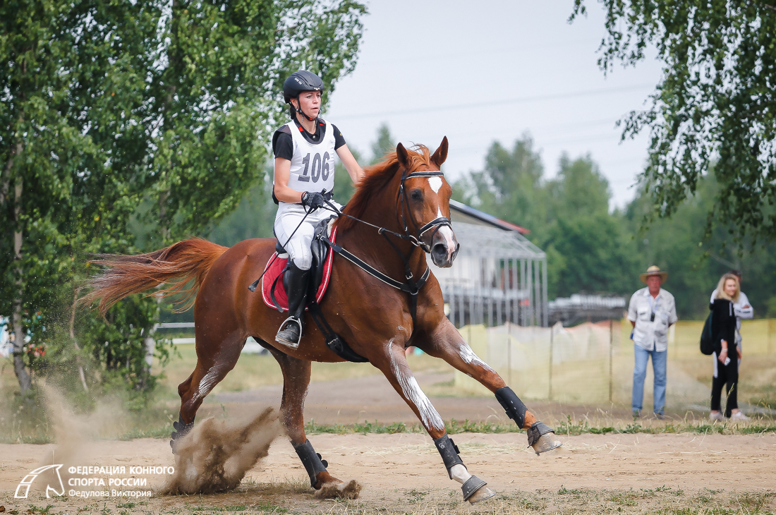 Троеборье конный спорт. Федерация конного спорта России. Сайт федерации конного спорта