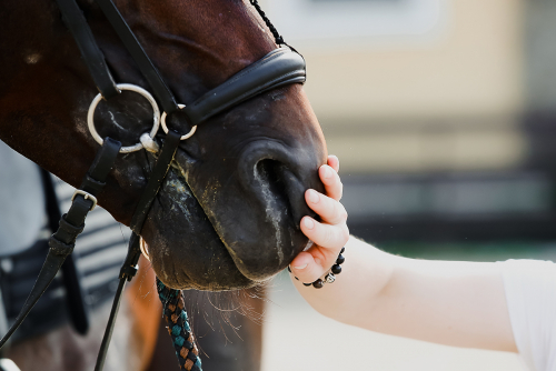  � ���� ������������� ��������� 20.12.2025 