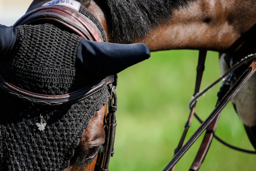  ��������� ��������� � ������� ������ ���������� �� ������� � ������������� 