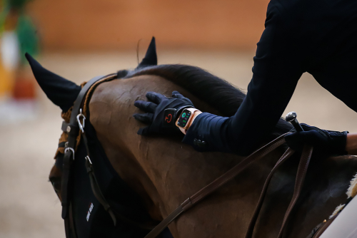  ���������� ��������� ��������������� ������� ���� 