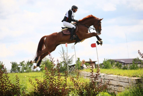  ������������� ������������ �� ���������, ����������� ������ ���������� ��������, ������� �� ������������ 