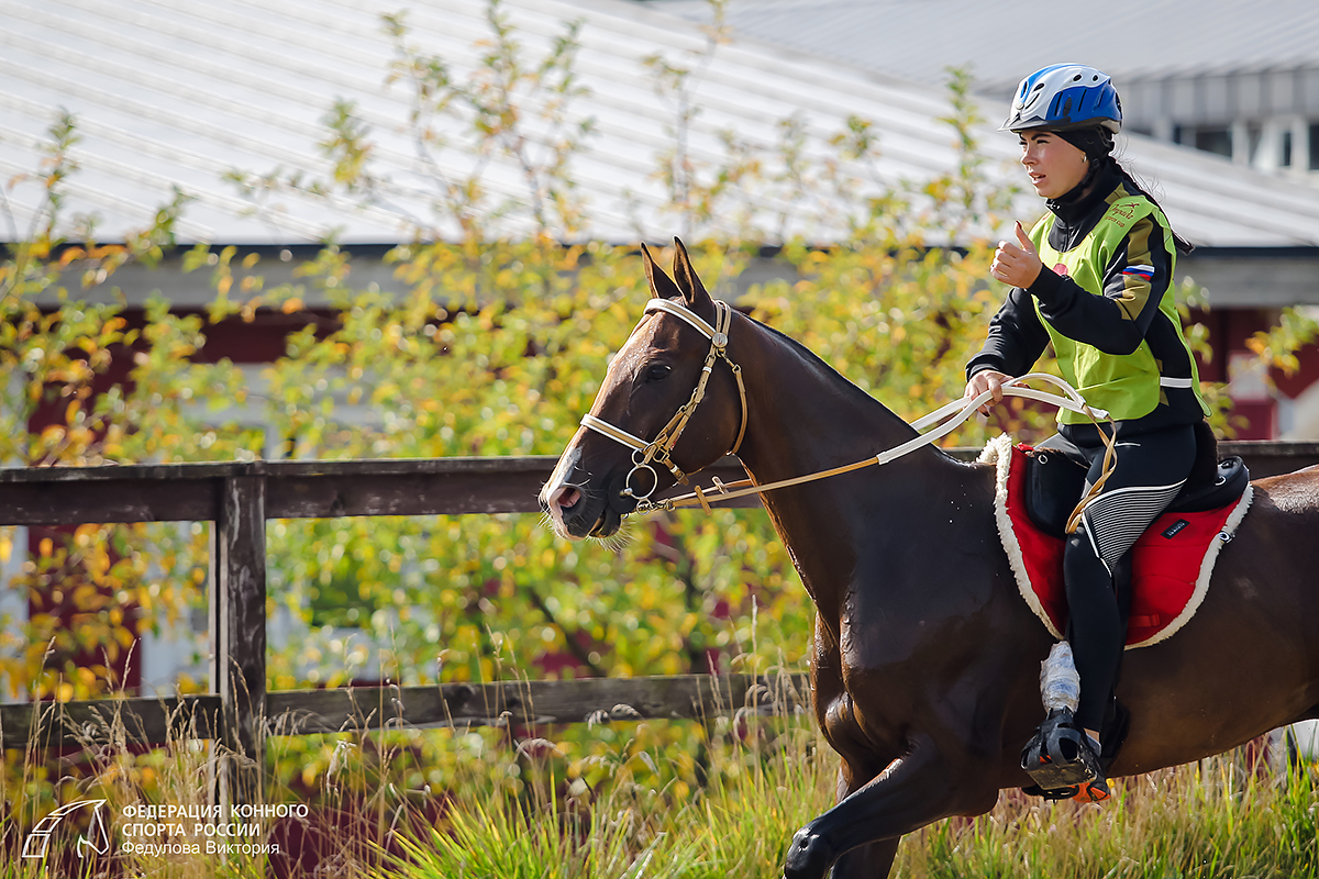Федерация конного спорта. Конные пробеги в России.