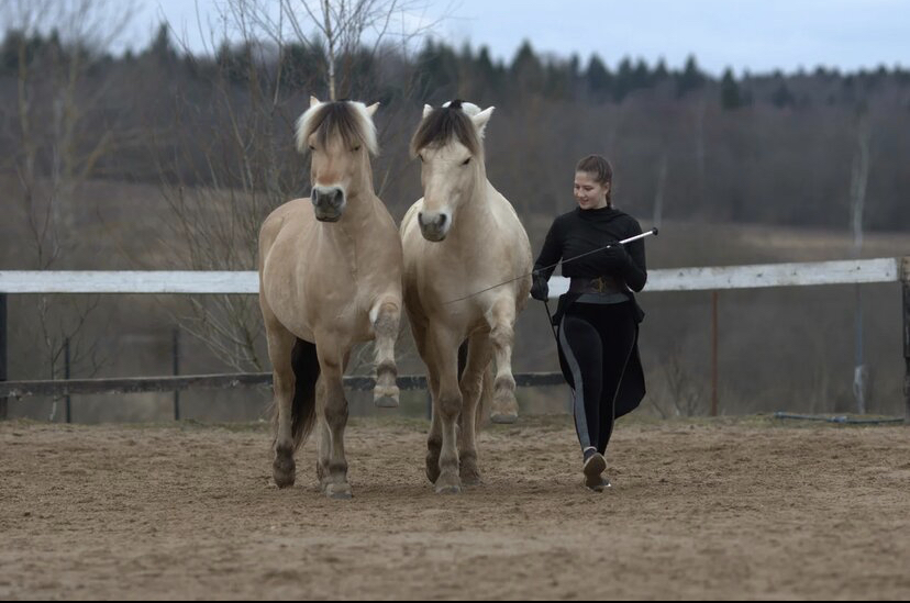 Нина Филатова: Путь на «Эквитану» - фото IMG_1310, Recommendation Конные истории , конный журнал EquiLIfe